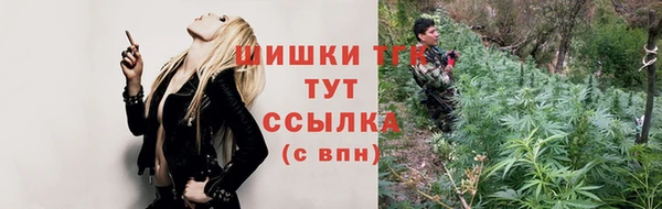 индика Каменск-Шахтинский