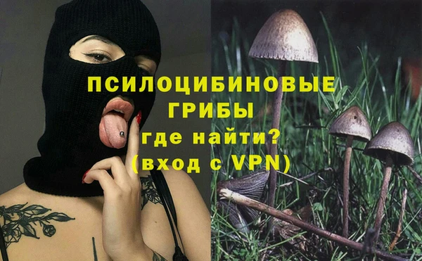 мдма Каменка