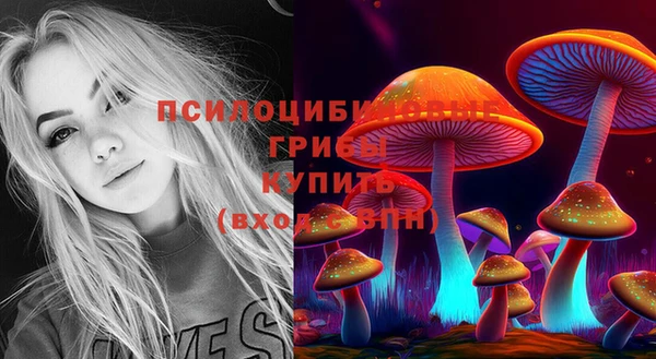 мдма Каменка