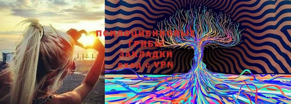 молекула духа Каменногорск