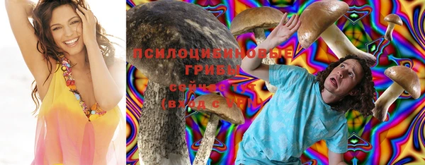 молекула духа Каменногорск
