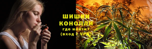 индика Каменск-Шахтинский
