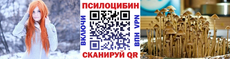 мориарти какой сайт  Лукоянов  кракен   Псилоцибиновые грибы мухоморы  продажа наркотиков 